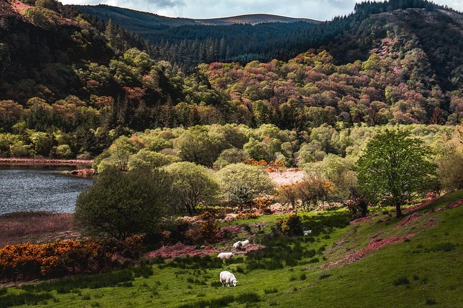 Glendalough Day Tour From Dublin: Including Kilkenny City - Booking Information and Tips