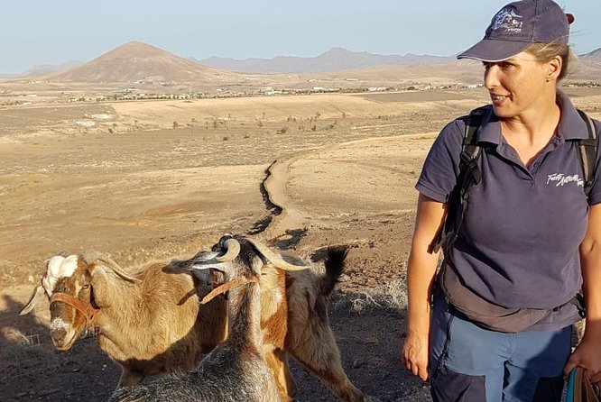Goat Trekking Fuerteventura - Common questions