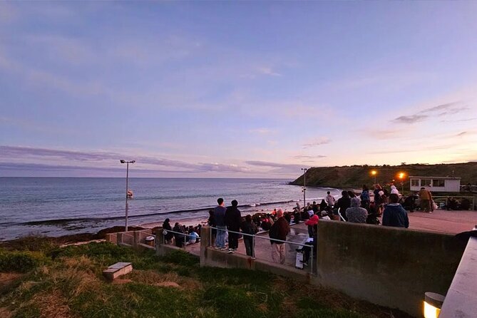 Golden Hour Penguins & Wine Tour With Pickups From Phillip Island - Contact Information