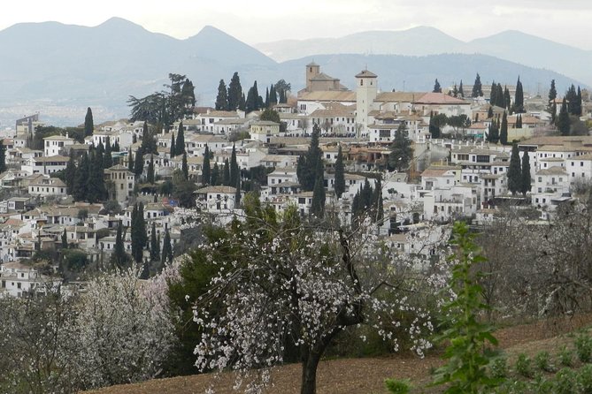 Granada Day Trip: Alhambra & Nazaries Palaces From Seville - Last Words