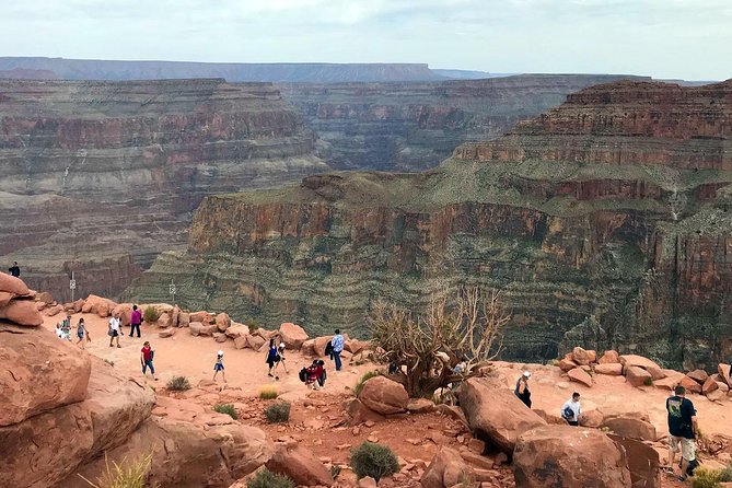 Grand Canyon West Skywalk Western Ranch Joshua Tree Forest SmGrp - Directions