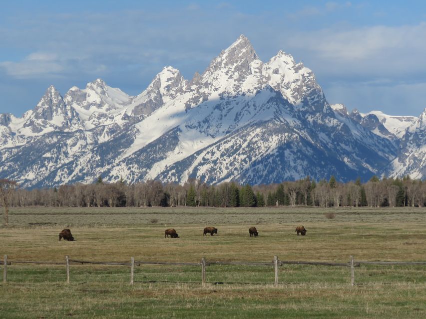 Grand Teton National Park: Full-Day Tour With Boat Ride - Tour Tips