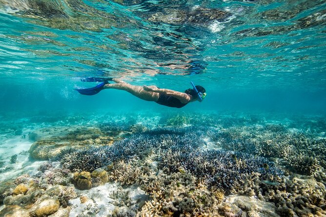 Great Barrier Reef Day Cruise to Reefworld - Last Words