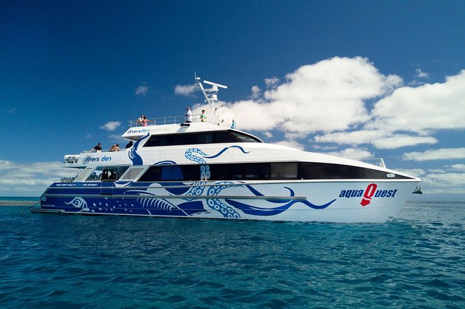 Great Barrier Reef Diving and Snorkeling Cruise From Cairns - Snorkel Gear and Lunch
