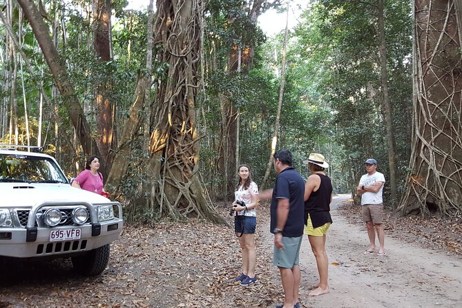 Great Beach Drive 4WD Tour - Private Charter From Noosa to Rainbow Beach - Common questions