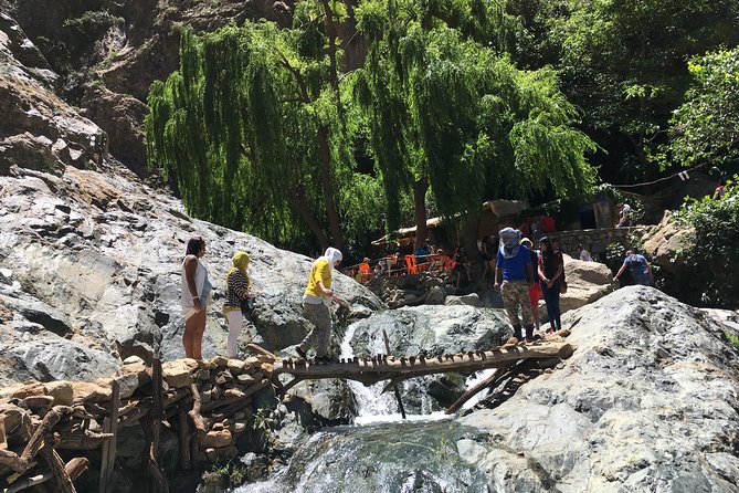 Group Shared Day Tour to Ourika Valley & Atlas Mountains - Professional Driver for the Tour