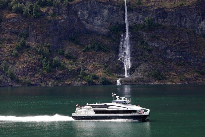 Guided Day Tour to Flåm - Grand Sognefjord Cruise & Flåm Railway - Common questions