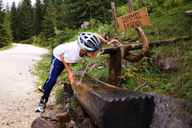 Guided E-Bike Tour of the Alpine Pastures in the Salzkammergut - Last Words