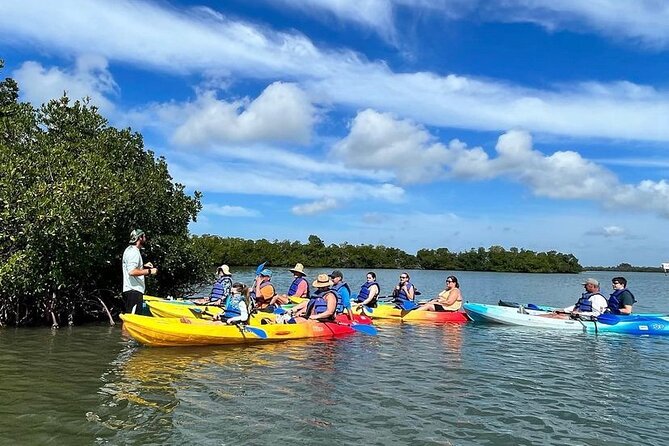 Guided Kayak Mangrove Ecotour in Rookery Bay Reserve, Naples - Common questions