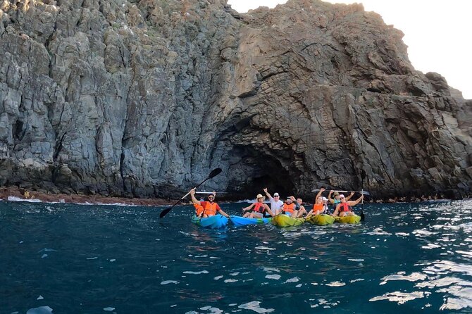 Guided Kayak Tour From Los Cristianos Beach Tenerife - Common questions