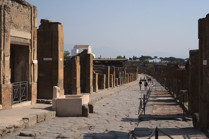 Guided Tour of Pompeii Ruins With Lunch and Wine Tasting - Last Words