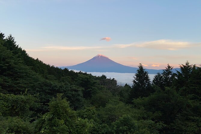 Hakone Old Tokaido Road and Volcano Half-Day Hiking Tour - Contact Details