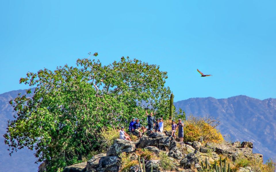 Half-Day Bicycle Tour by Baja California Desert - Common questions