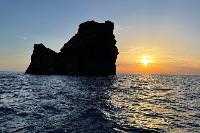 Half Day Boat Trip to Scandola Calanche De Piana - Common questions