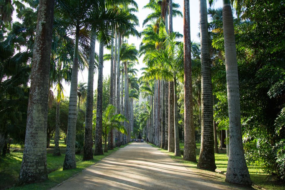 Half-Day Botanical Garden and Parque Lage Photo Tour - Tour Inclusions