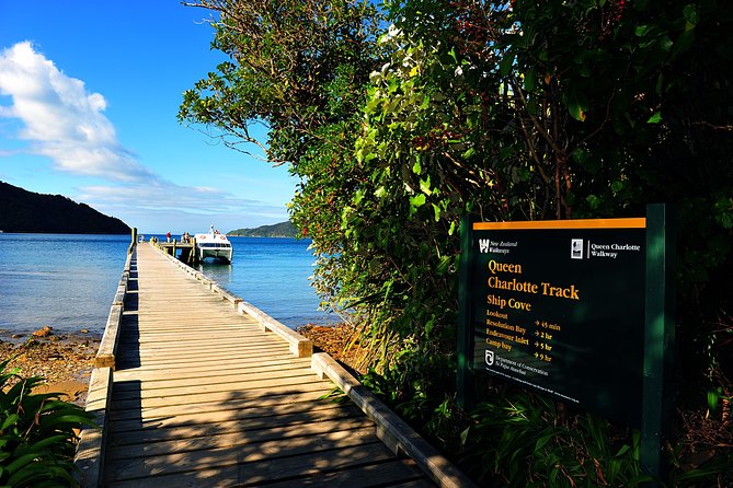 Half-Day Cruise in Marlborough Sounds From Picton - Last Words