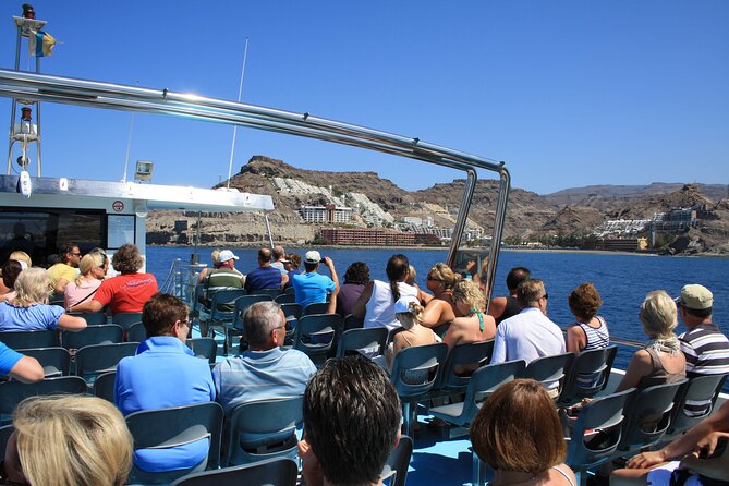 Half-Day Cruise Tour-Dolphin and Whale Watching - Customer Support