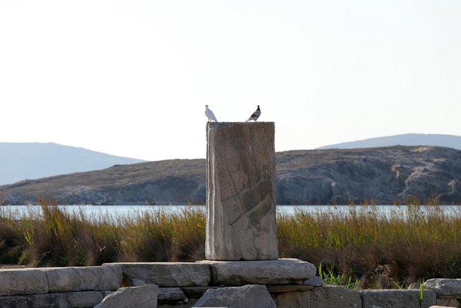 Half-Day Delos Tour From Mykonos - Pickup and Drop-off Points