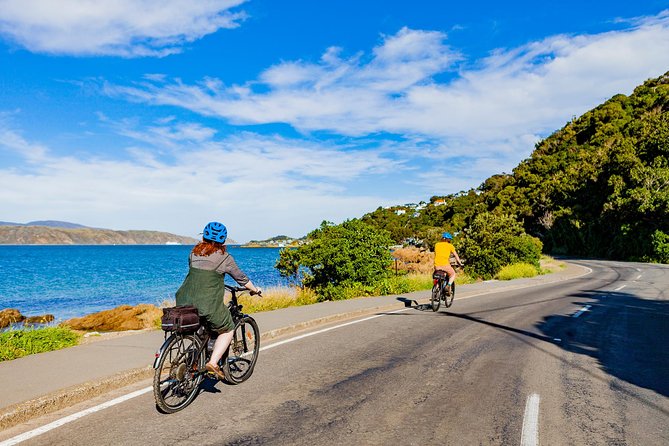 Half-Day E-Bike Rental With Helmet and Map, Wellington - Contact Information