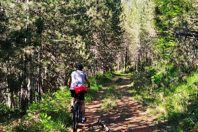 Half-Day E-Mountain Bike Adventure at Aoos Lake Metsovo - E-Mountain Bikes and Helmets