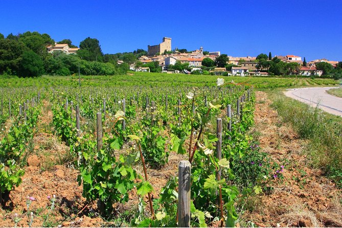 Half Day Great Vineyard Tour From Avignon - Customer Reviews