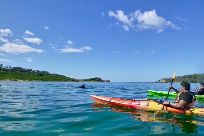 Half-Day Jervis Bay Sea Kayak Tour - Customer Reviews