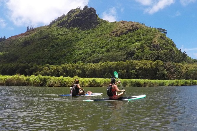 Half-Day Kayak and Waterfall Hike Tour in Kauai With Lunch - Tour Highlights