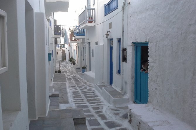 Half-Day Private Guided Tour in Mykonos - Traveler Support and Assistance