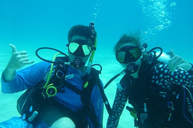 6 half day scuba diving trip in the florida keys Half Day Scuba Diving Trip in the Florida Keys