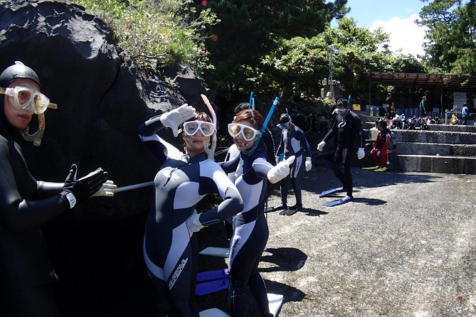 Half-Day Snorkeling Course Relieved at the Beginning Even in the Sea of Izu, Veteran Instructors Wil - Tour Summary
