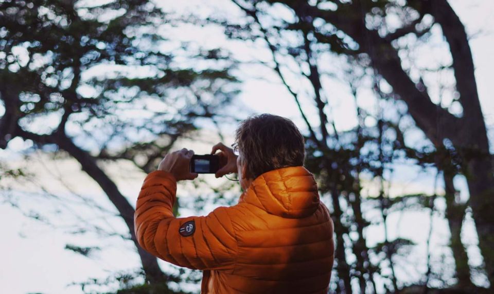 Half-Day Tierra Del Fuego National Park With Train - Last Words