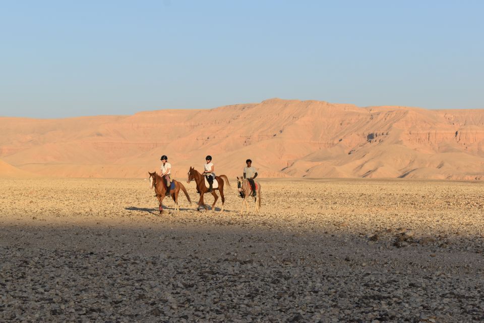 Half-Day to Discover Luxor on Horseback - Common questions