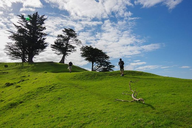 Half-Day Volcano Tour From Auckland - Additional Resources