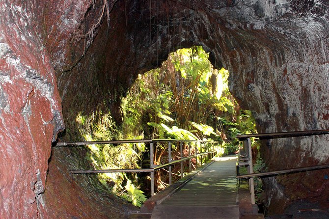 Hawaii Volcanoes Park, Lava Tube, Falls With Hilo Port Pickup  - Big Island of Hawaii - Cultural Insights