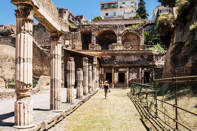 Herculaneum Group Tour From Naples - Archaeological Highlights at Herculaneum