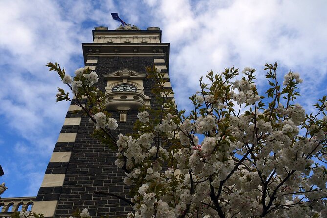 Heritage Dunedin City Walking Guided Tour - Common questions