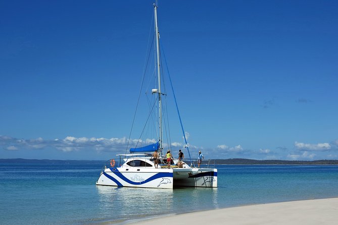 Hervey Bay to Fraser Island Half-Day Sail and Dolphin Watching (Mar ) - Safety and Recommendations