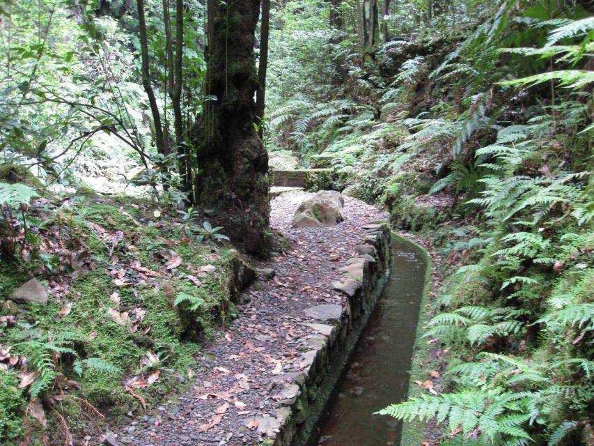 Hidden Corners, the Kings Levada Full Day Hike - Language Options and Tour Guide