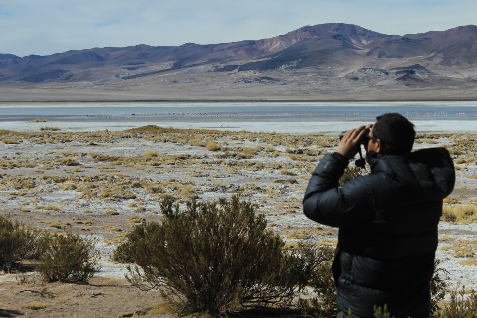 Highlights of Altiplano in an 4WD Overland Expedition - Group Personalization Option