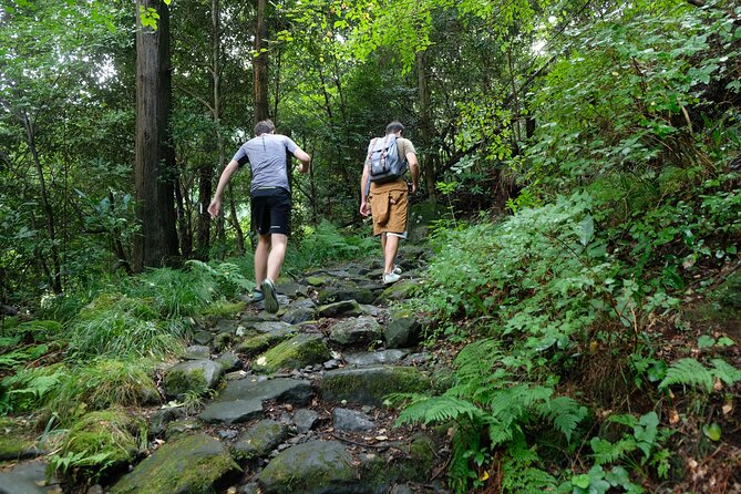 Hike Japan Heritage Hakone Hachiri With Certified Mountain Guide - Booking Procedure and Contact Information