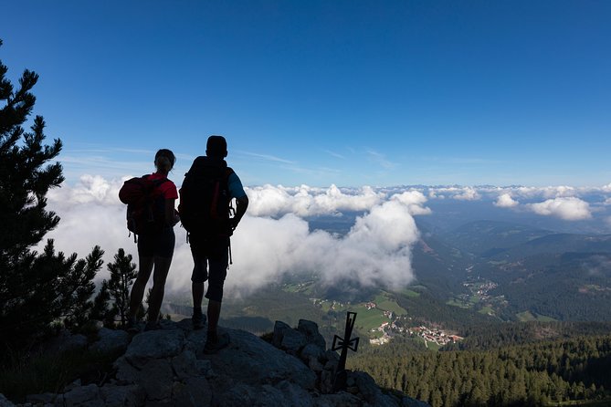 Hike the Dolomites: One Day Private Excursion From Bolzano - Pricing Information