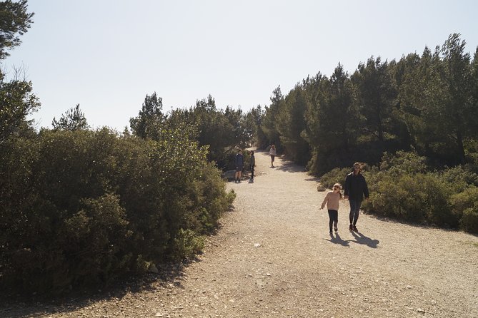 Hiking in the Calanques National Park From Luminy - Last Words