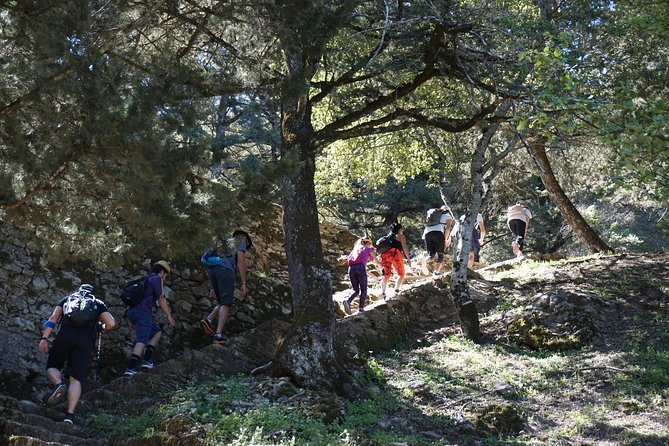 Hiking Profitis Ilias Mountain - Pick up Service Available - Last Words