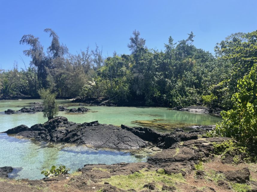 Hilo: Sea Turtle Lagoon and Black Sand Beach Snorkel - Last Words