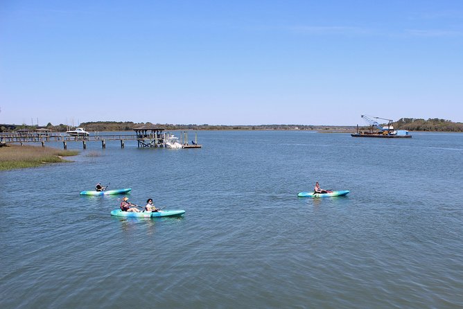 Hilton Head Guided Kayak Tour - Dolphin Sightings and Pricing