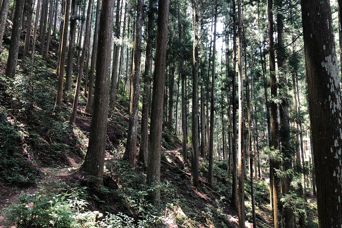 Historic and Natural Guided Hike in Yoshino - Booking and Contact Details