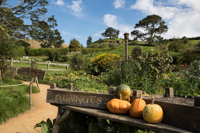 Hobbiton Day Tour From Rotorua With Lunch at Hobbiton - Last Words