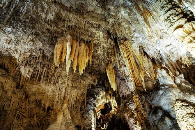 Hobbiton & Waitomo Caves Small Group Tour From Auckland - Last Words