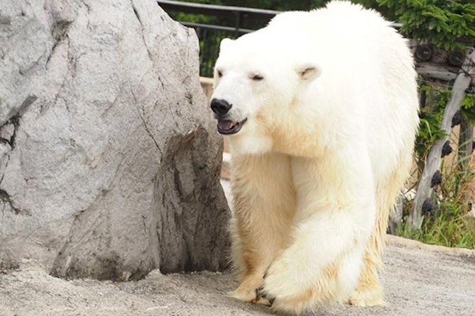 Hokkaido Highlights of Flower Blossom, Asahiyama Zoo, and Blue Pond "Aoi-ike"! - Picture-Perfect Moments Throughout