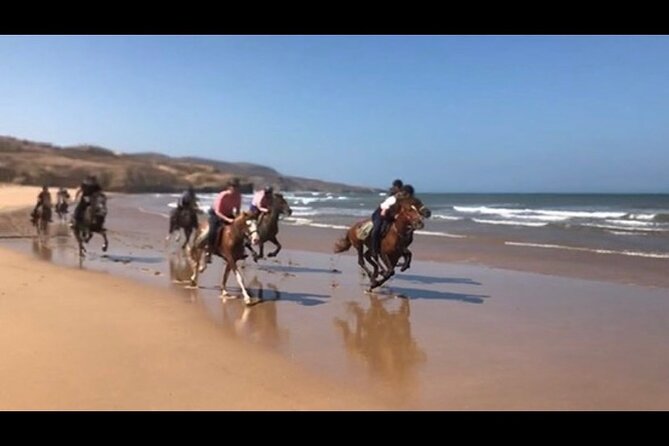 Horse Riding Agadir - Host Responses